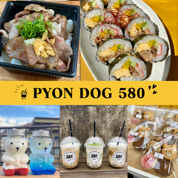 PYON DOG 580